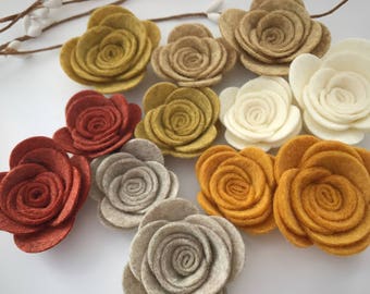 October glory rose mix