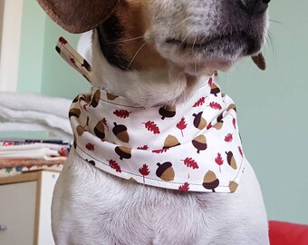 Fall Thanksgiving Dog or Cat Acorn Bandana