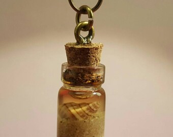 Glass vials with shell on bronze chain