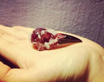Crystalized Grackle Skull