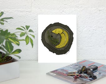 Banana Slug! Art Print Unframed