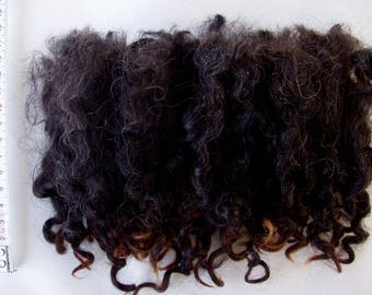 20g (56.00 Euro/100g) 0.7oz wensleydale locks, natural black, felting wool, black curls, black locks, wool hair,black doll hair, 100% wool