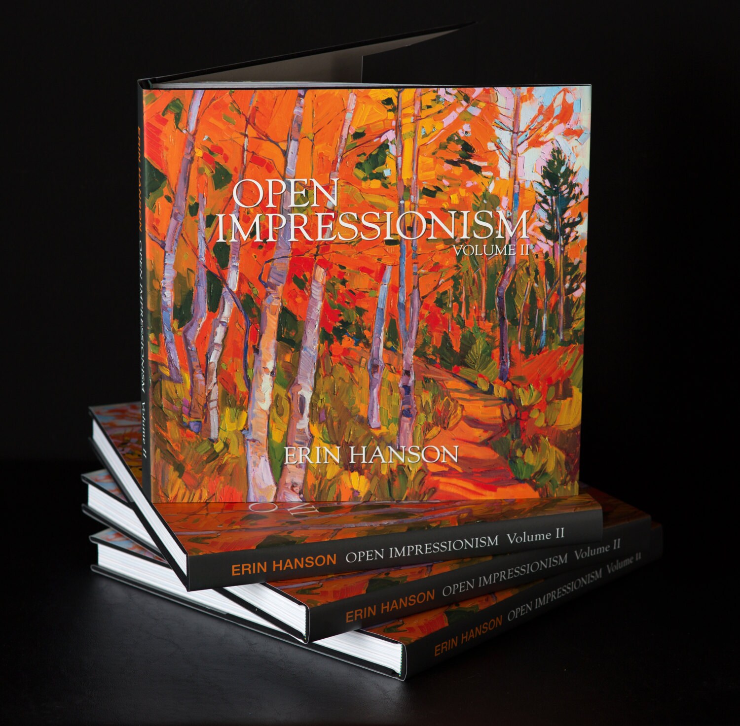 Collectible Fine Art Impressionism Coffee Table Book