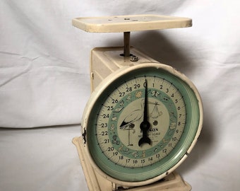 Hanson Dial Baby Boy Blue Stork Scale with Standard Platform