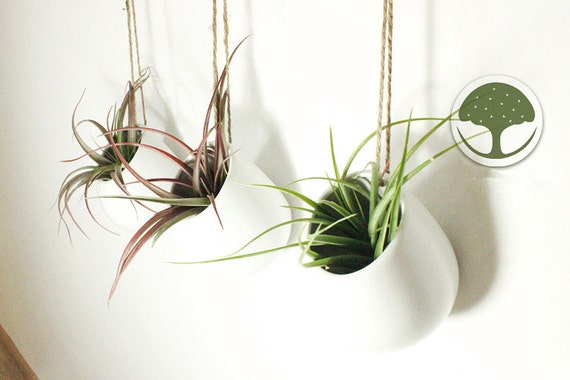 Download 3 or 4 in Package White Ceramic Wall VaseHanging Air Plant Yellowimages Mockups
