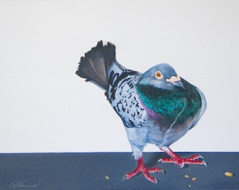Phillip, original painting of a pigeon acrylic on canvas