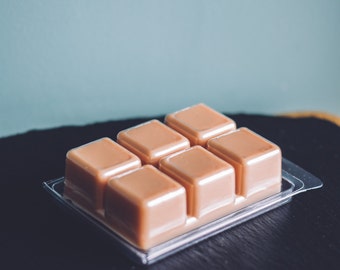 Choose your own scent! - 3oz Wax Melt - Disney Scented Para-soy Melt