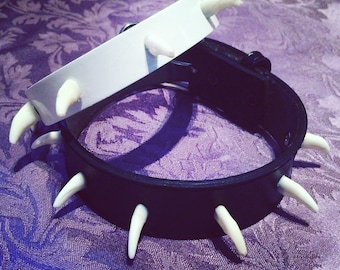 ONE OF A KIND - White Real Coyote Teeth Choker