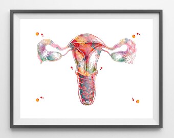 Female Reproductive System Watercolor Print Uterus Anatomy Art Poster Gynecology Print Vagina Uterus Fallopian Tubes Ovaries Fertility Print