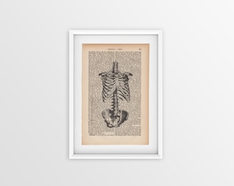 A4 Print 'Bones'