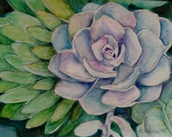 Succulent Garden - Original Watercolor