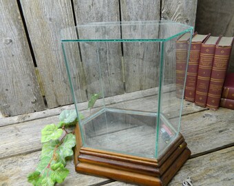 Vintage Wood and Glass Musical Terrarium