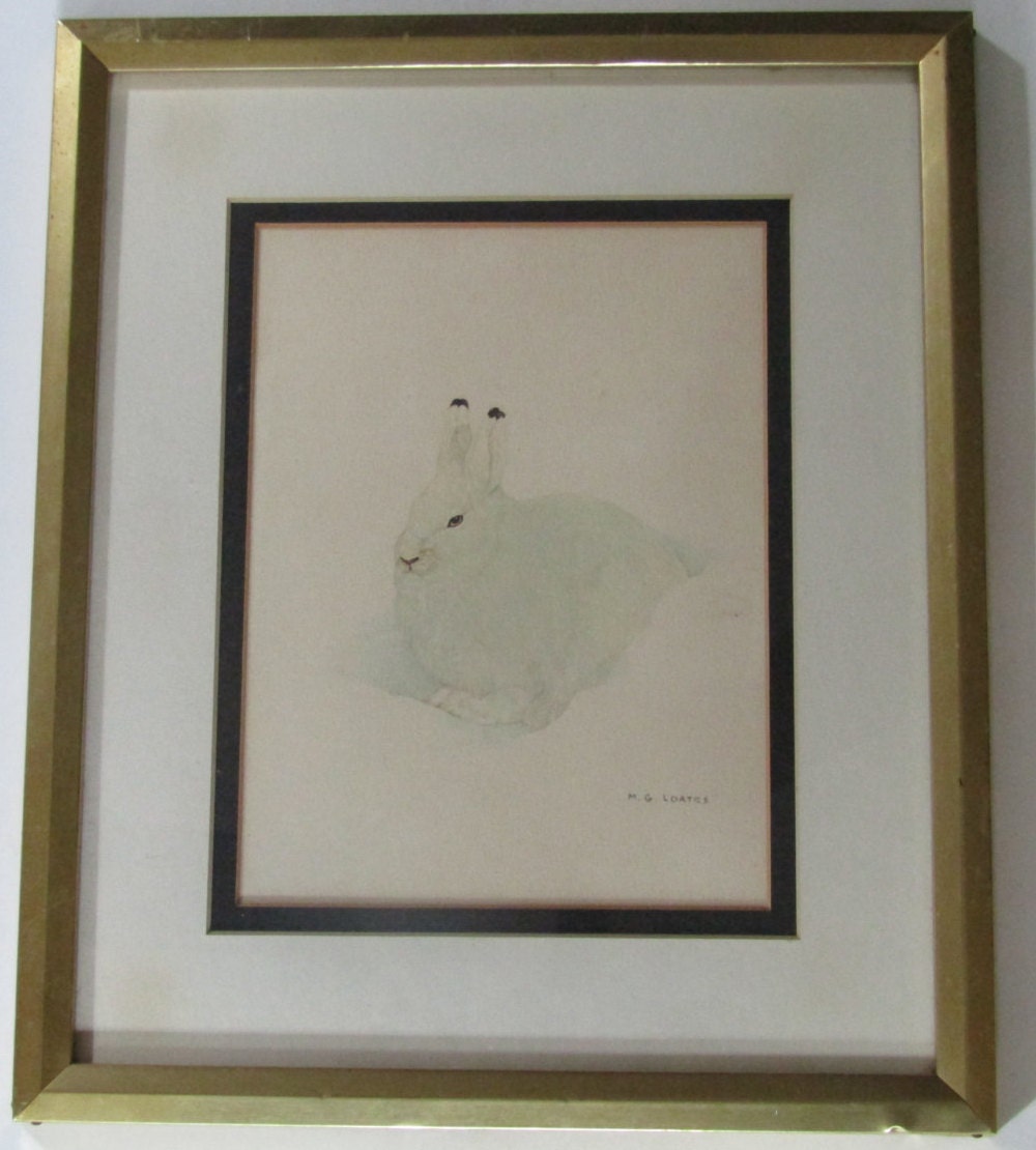 M G Loates Snow Bunny Print