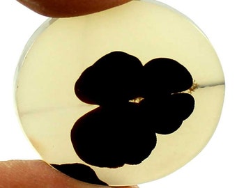 Dendritic Agate