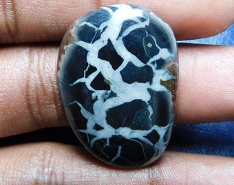 32.60 Cts Natural Top Quality Septarian Gemstone Cabochon Fancy Shape 33x23x4 MM