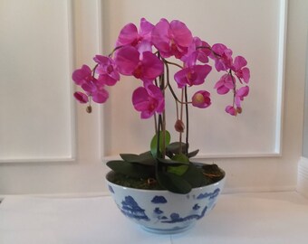 Fuschia Triple Orchid in Handpainted Bo