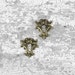 Antique Brass Escutcheons, Roaring Lion Escutcheons, Antique Furniture Hardware, Keyhole Escutcheons, French Furniture Hardware A47