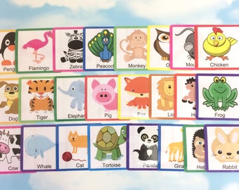 Cute Flashcards 