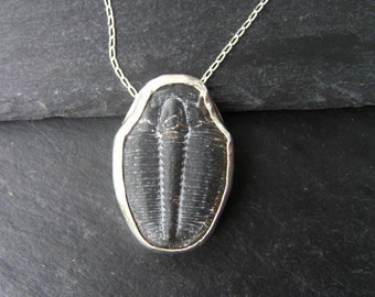 Solid Silver Set Trilobite Necklace - A Stunning Piece Of Fossil Jewellery