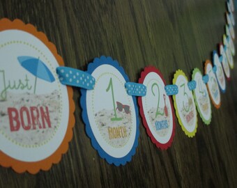 Beach Bum Collection: Just Born/0-12month Beach First Birthday Photo Picture Banner. First Year Banner. Sand Sun Ball Pail Shovel Summer