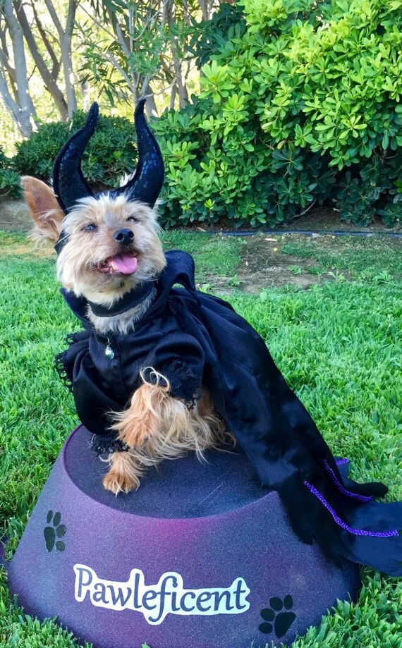 Maleficent Dog Costume