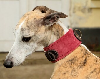 Dog collar old Rose velvet-dog collar
