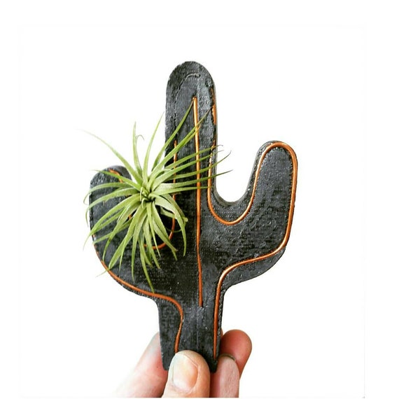 Cactus Decor/Air Planter/Cactus Air Planter/Indoor Planter/Concrete Planter/Copper Decor/Cactus/Air Plant/Cacti