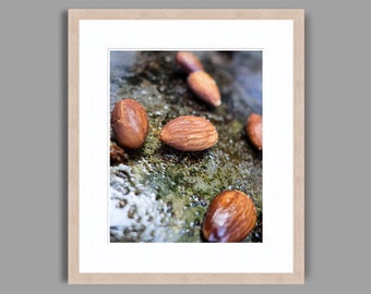 TOASTED ALMONDS - Framed Art Photography, Home Decor, Wall Art