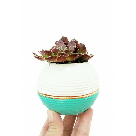 Modern Planter/Concrete Planter/Cactus Planter/Modern Decor/Succulent Planter/Indoor Planter/Office Planter/Sphere planter/orb planter
