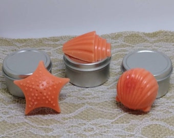 Seashell Tart Melts
