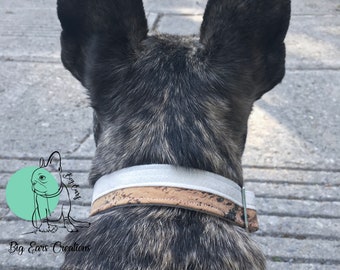 Dog Collars 1"