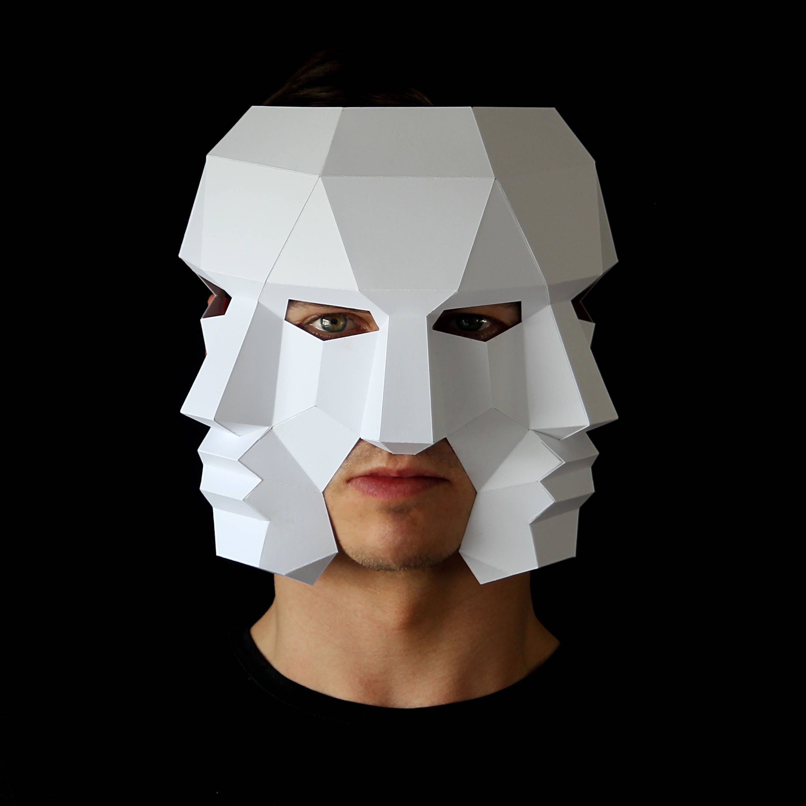 Three Face Mask Make this 3D mask with this PDF download and