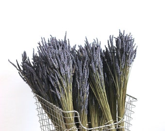 Organic Dried Lavender 10 bunches