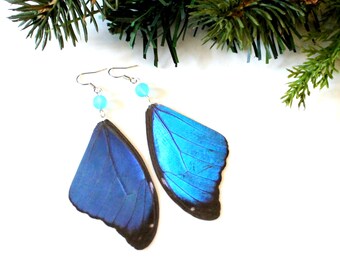 Blue Butterfly Earrings, Iridescent Butterfly Wing Earrings, Real Blue Morpho Butterfly Wing Earrings