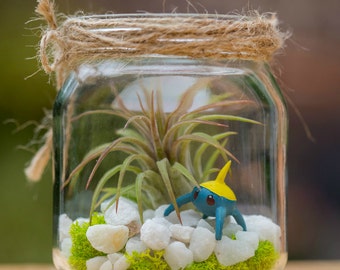 Air Plant Garden Jar Terrarium Unique Handmade Gift