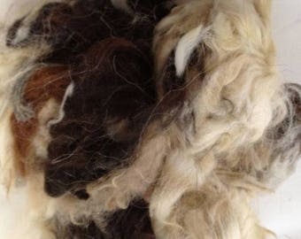 Bird Nesting Material Top-up Pack (UK Shipping only)