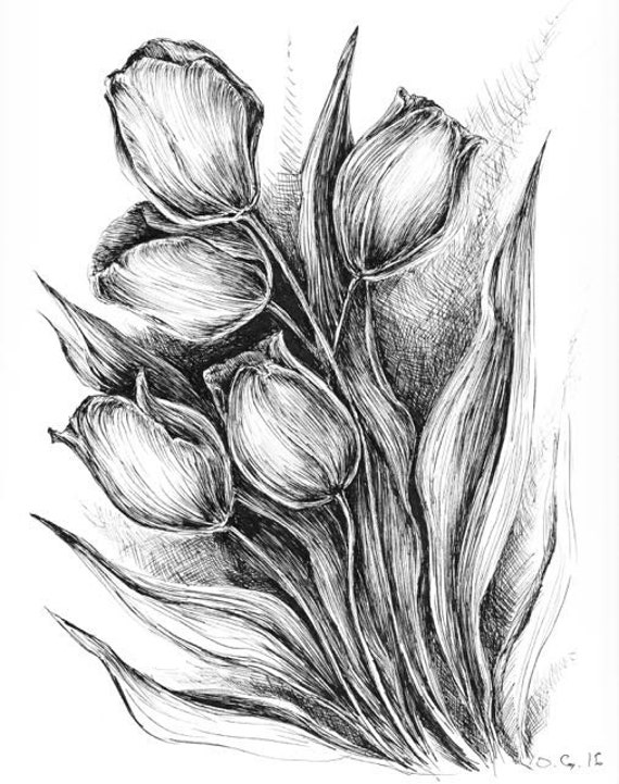 Tulip prints botanical poster black and white drawing pen