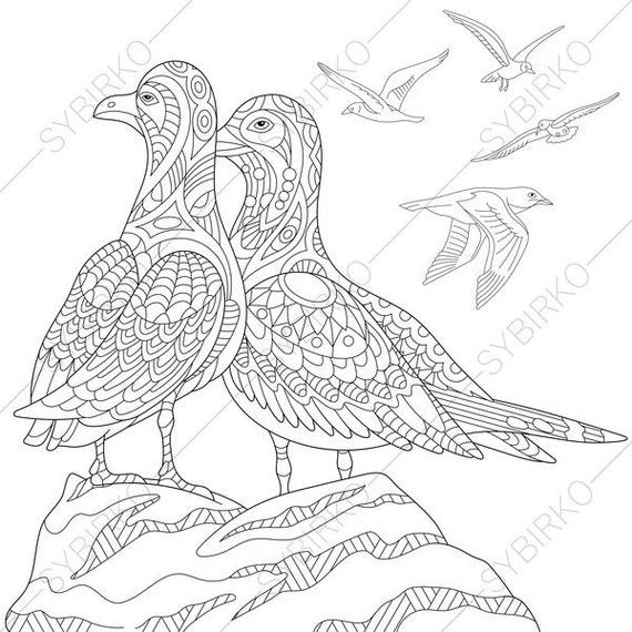 Seagulls. Marine Ship. 2 Coloring Pages. Animal coloring book