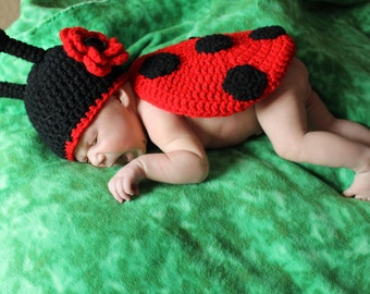 Little Ladybug Baby Photo Prop Set *Newborn - 12 mos.