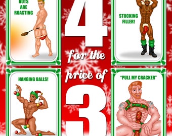 Set of 4 naughty Christmas cards for the price of 3.