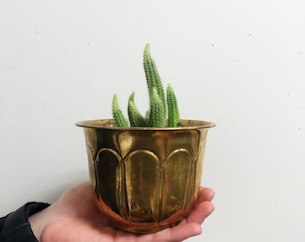 Vintage Small Brass Planter / Hosley Brass Planter / Brass Pot / Hollywood Regency Brass Pot