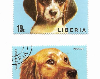 2 Dog Beagle Golden Retriever Used Postage Stamps from Liberia