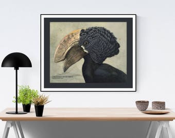 Antique Bird Print, Audubon Print, Bird Art Print, Vintage Bird Poster, Farmhouse Modern, Bird Wall Decor, Nature Art Print, Vintage Prints