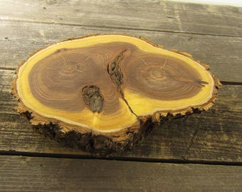 Large Elm Tree Slice- Wall Hanging, Candle Stand, Centerpiece, Large Wood Slice, Cake Stand (WS6043)