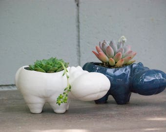 Hippo ceramic planters, Desk Plants, Planters for succulent plants, Small indoor planters, Animal planters, Office gift, Handmade pottery