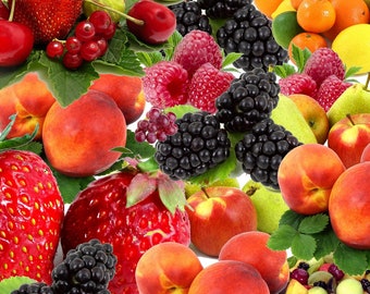 Organic Fruit Oils Cold Pressed,apple,cherry,guava,mango,papaya,plum,peach,passion fruit,blueberry,apricot,fig,watermelon,kiwi,pomegranate