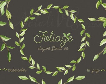 Foliage. Elegant floral set. Leaves and branches. Laurels watercolor. Digital Clipart