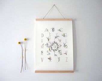 Alphabet ABC Alphabet poster