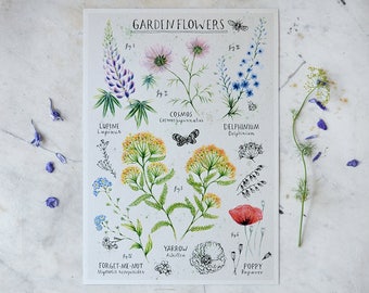 Garden Flowers - Print A4