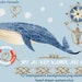Whale Clipart, Watercolor clipart, Watercolor whale, nautical clipart, sailors knots, compass rose, digital clipart, instant download